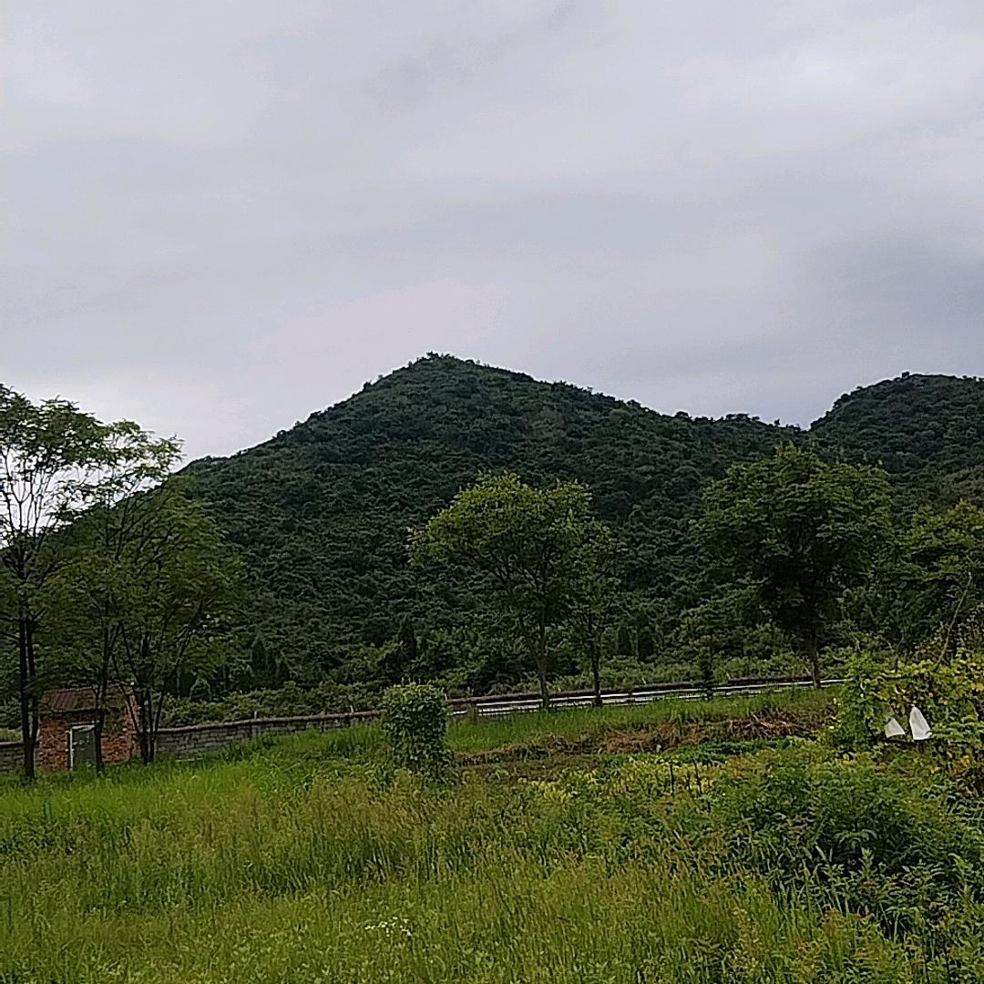 社会我大哥一条龙服