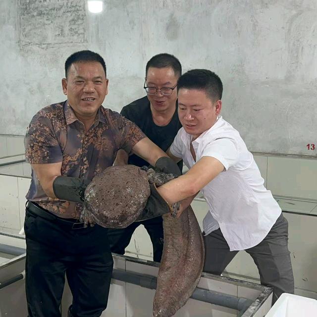飞龙私厨家宴陈总
