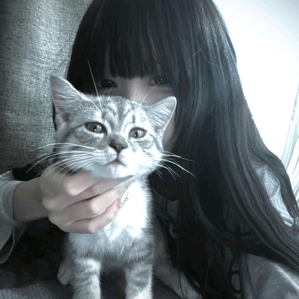 wap⚜️^许安念^🌷