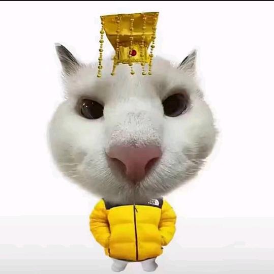 小勇
