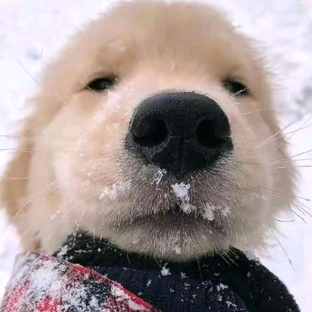 🌈🐵双黄蛋才是好蛋