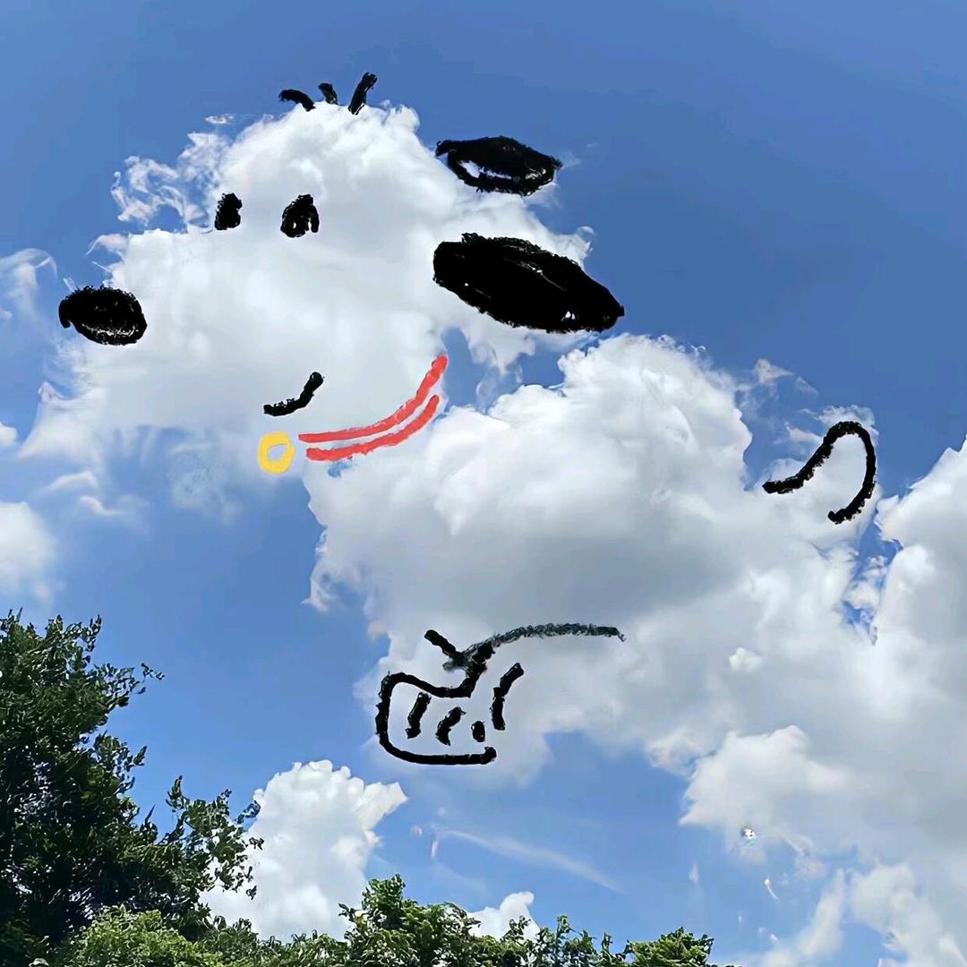 阿狸～