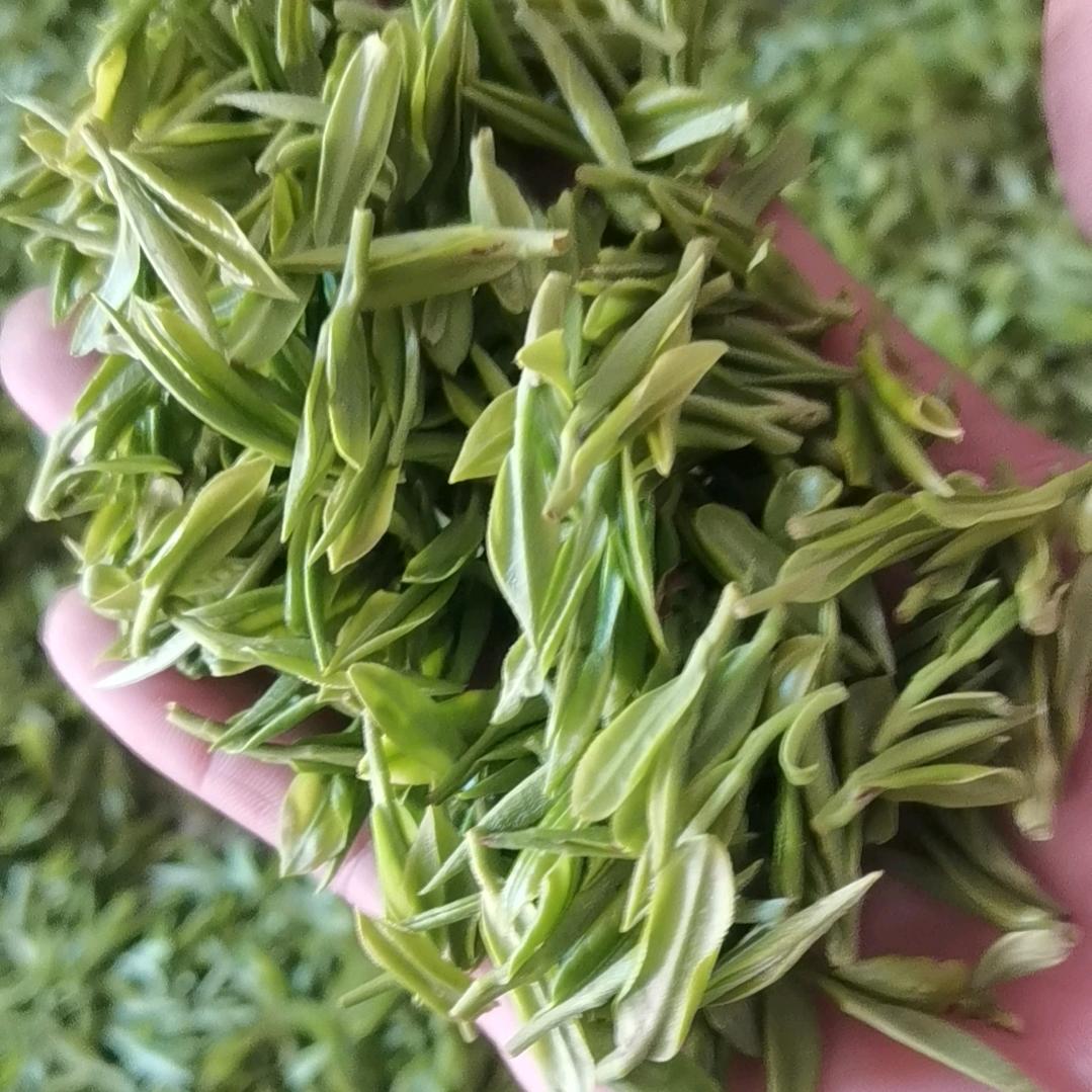 石材安装及韦益茶场