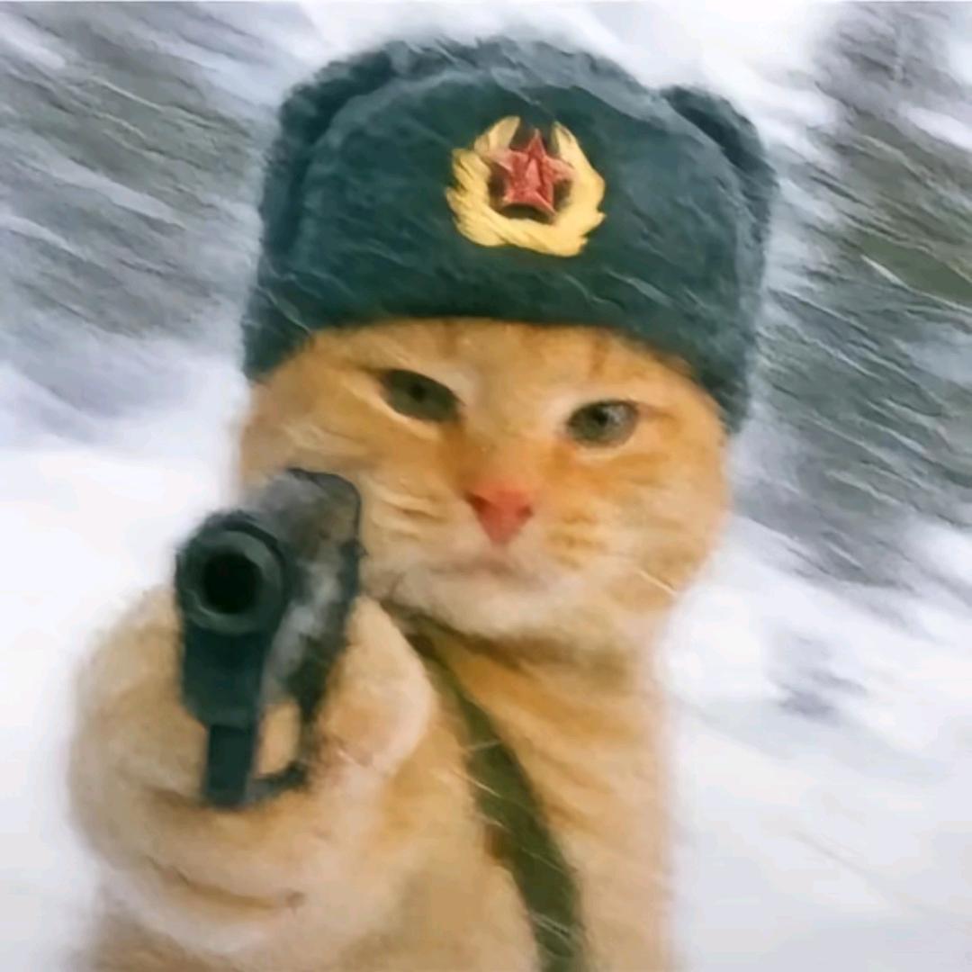 CF钞琳力