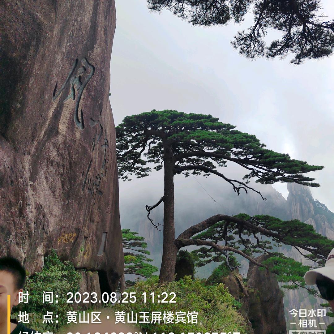 蓝精灵（washlier）