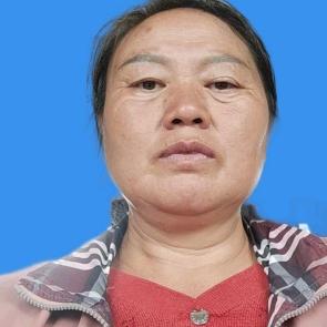 走自己的路y