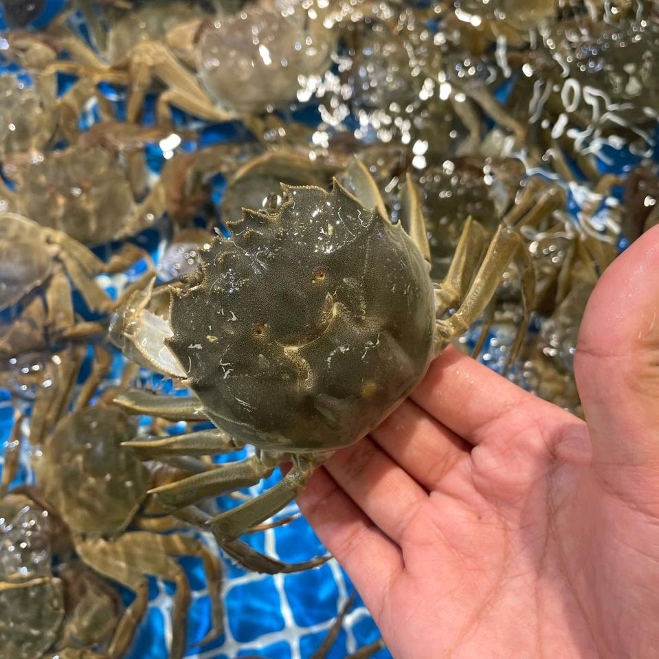 七里海东兴垂钓
