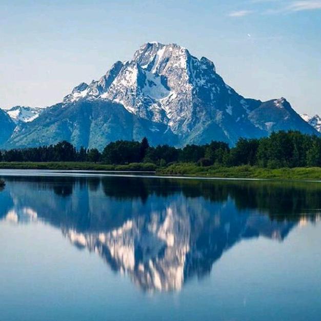 独一无二的玫瑰狗蛋