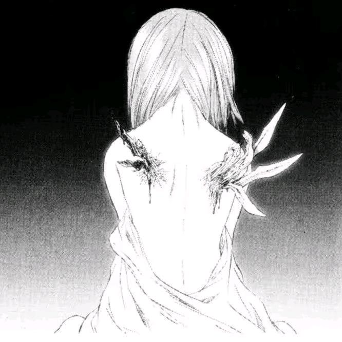 甄选好物