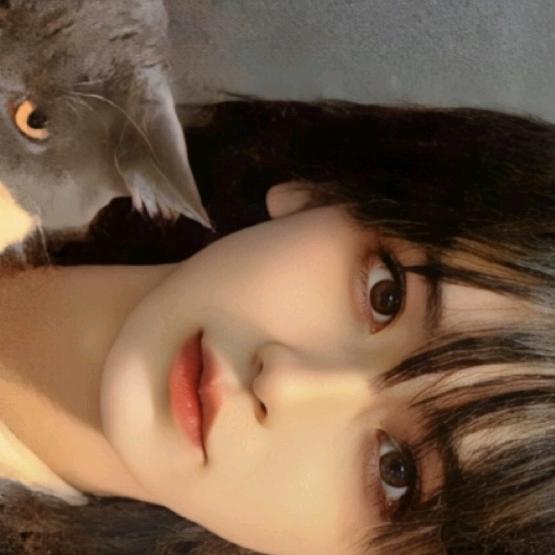 玖