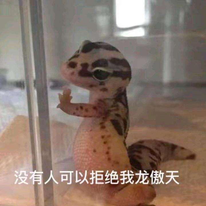 小白不乖🧋