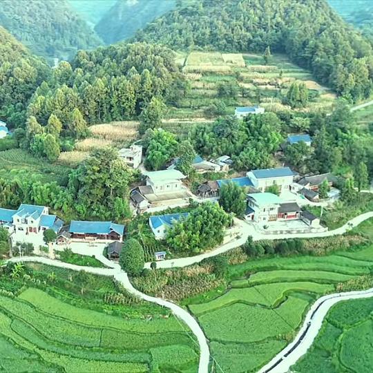 看开随意，看淡无需