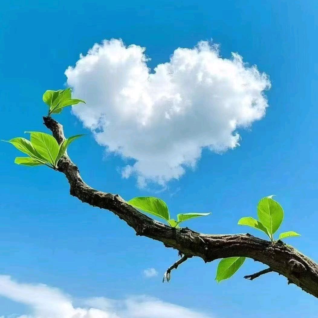 一🌹笑❤️战🇨🇳天🎸下💍