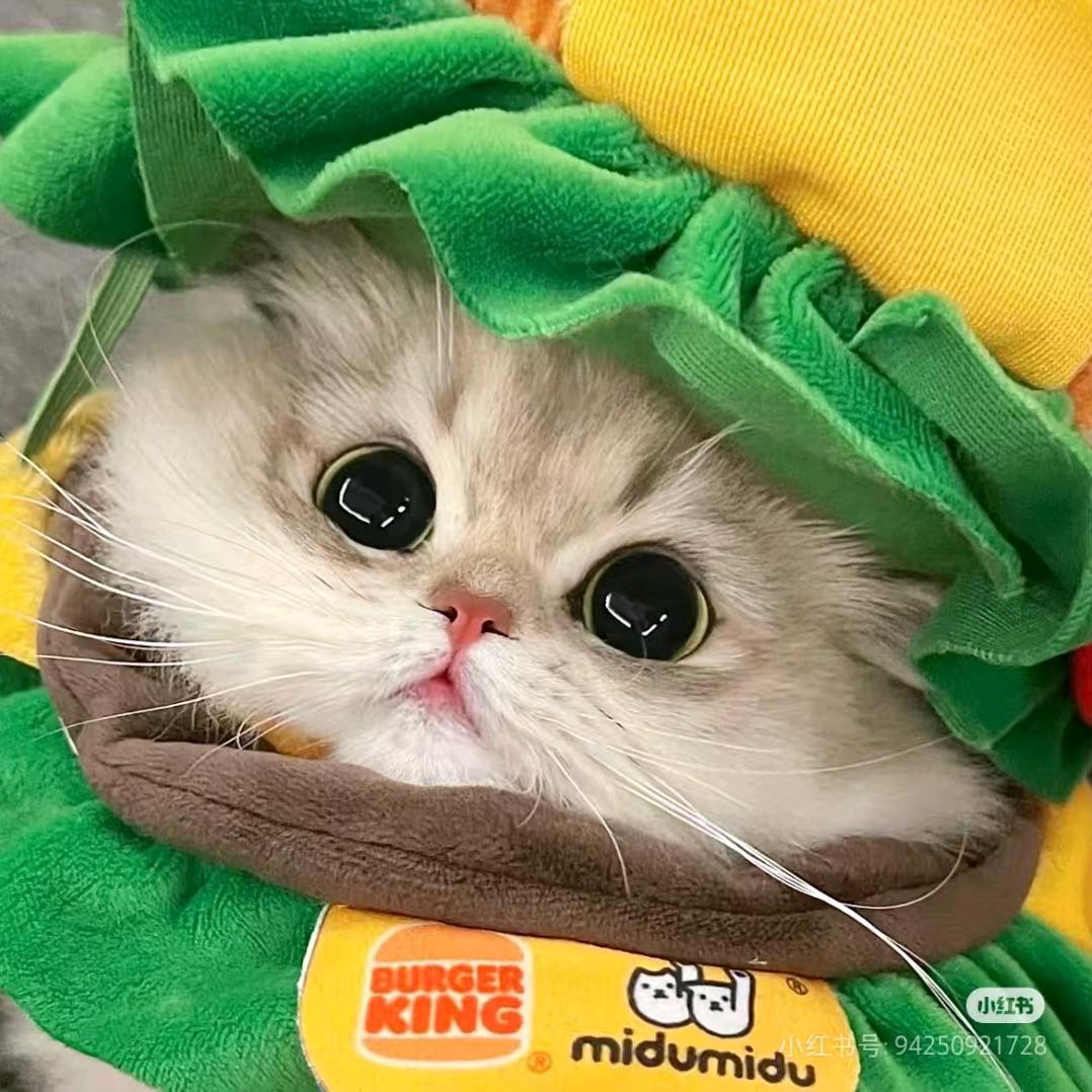 桐桐～