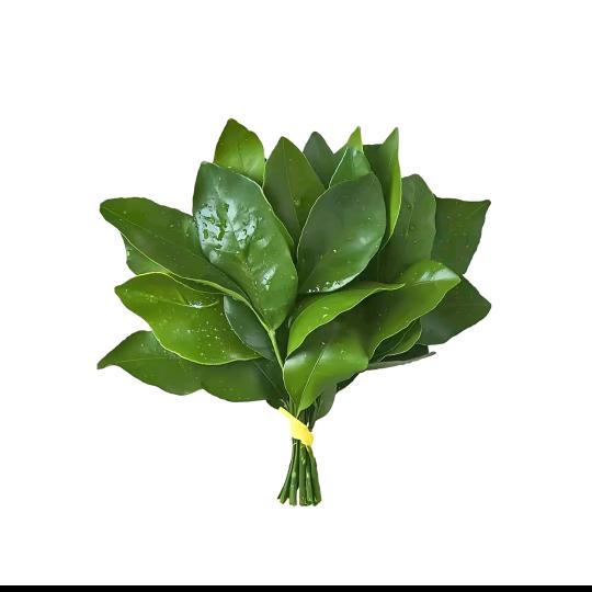 小孙小孙可爱满分