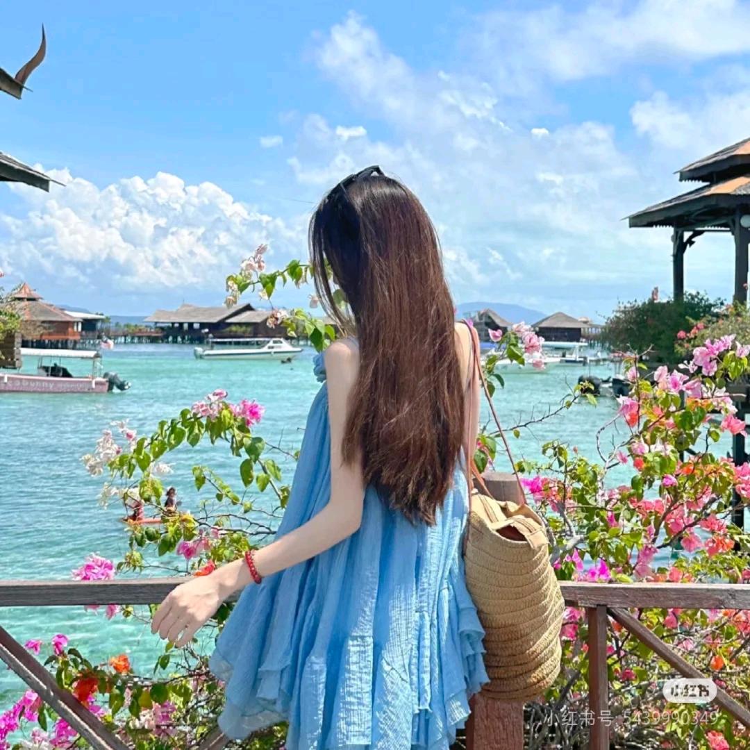 菜菜是一个神