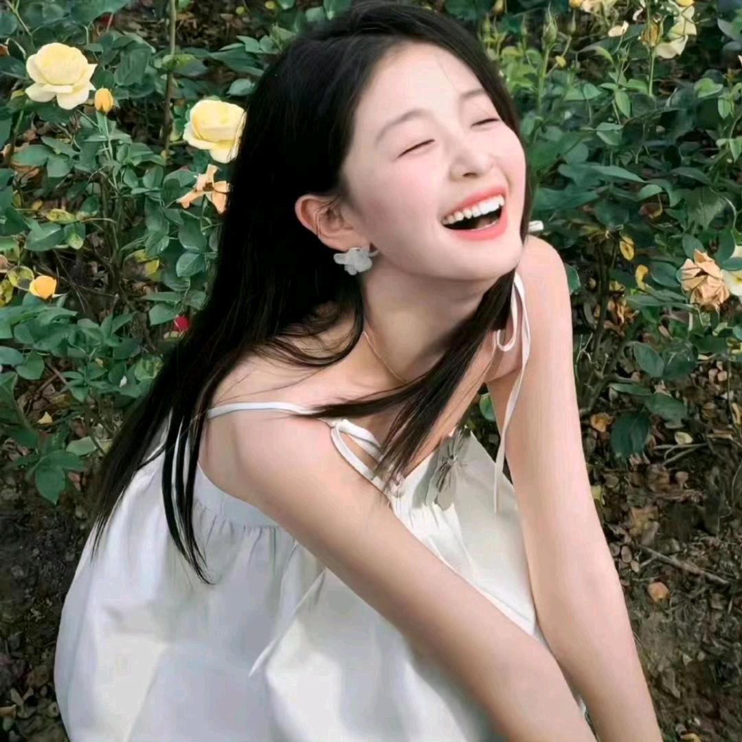 🌈Aipeng·🌈