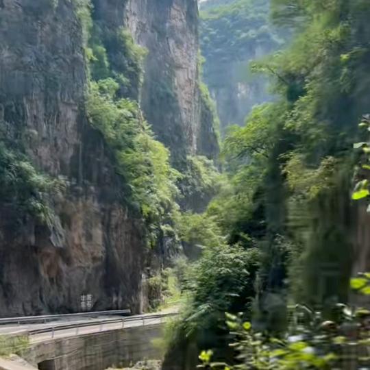 冰心