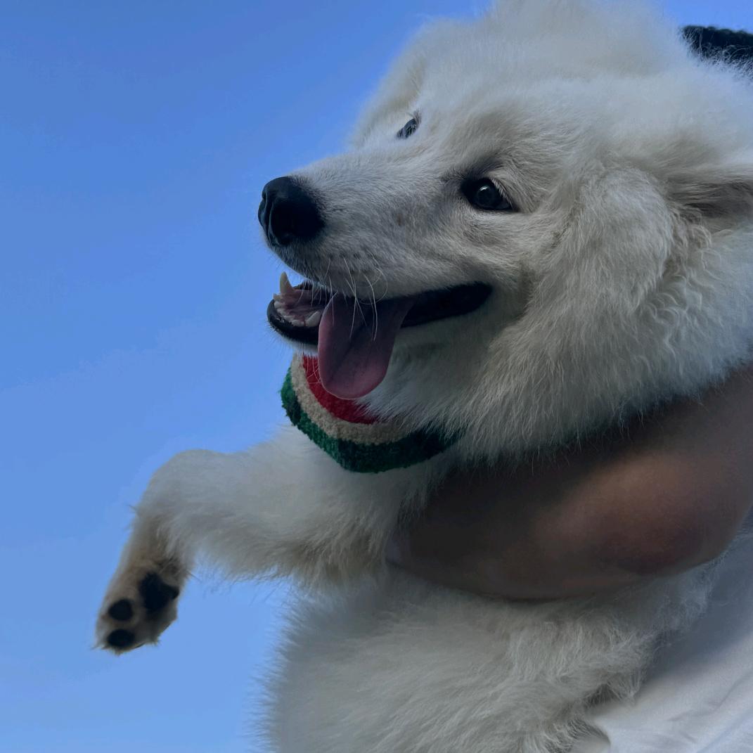 馒头穿搭铺