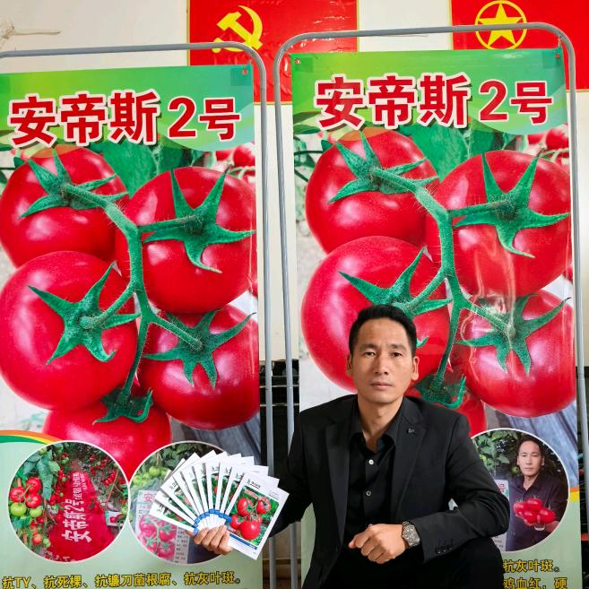 云南西红柿代收代发🍅刘德兵