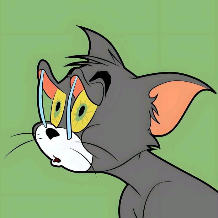 爱上绝密航天的露娜