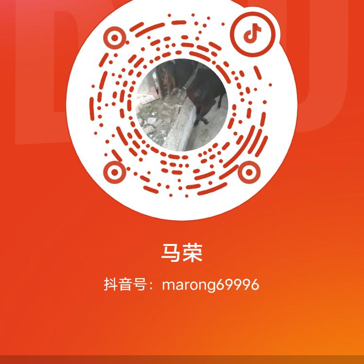 东山在起.1998842137O