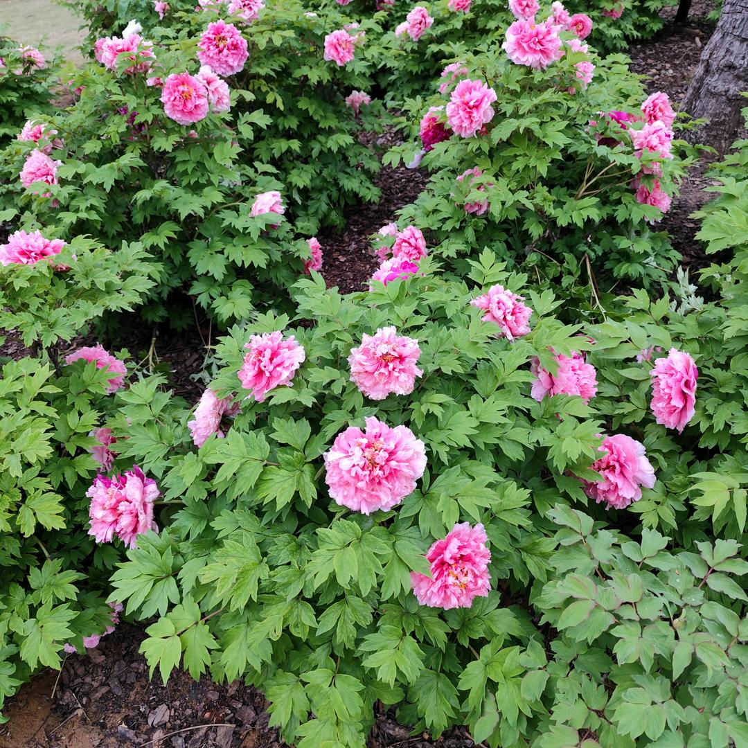 🌺新房二手房买卖