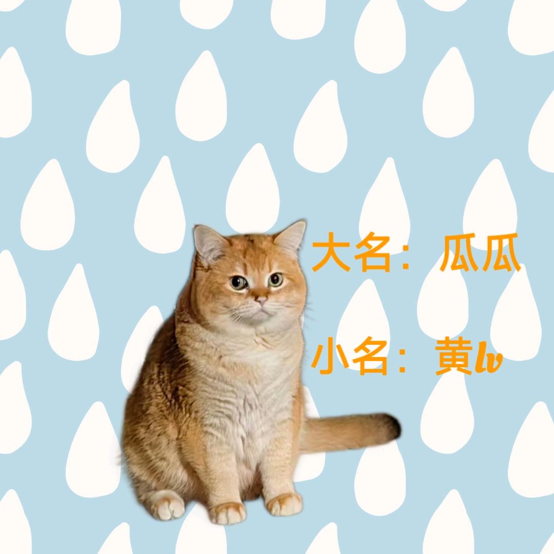 不迟到的黄律