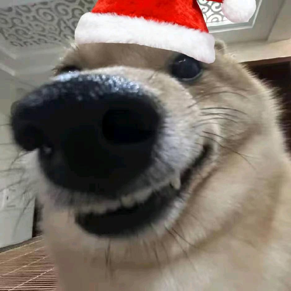 暗金限定宇宙无敌的劉劉修勾super大王