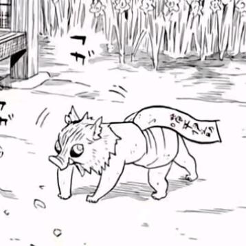 ✞南舒✟°˖✧︎