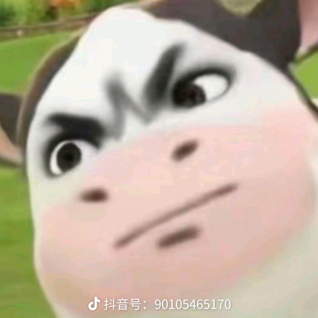 🌈你瞅啥🧐🐳