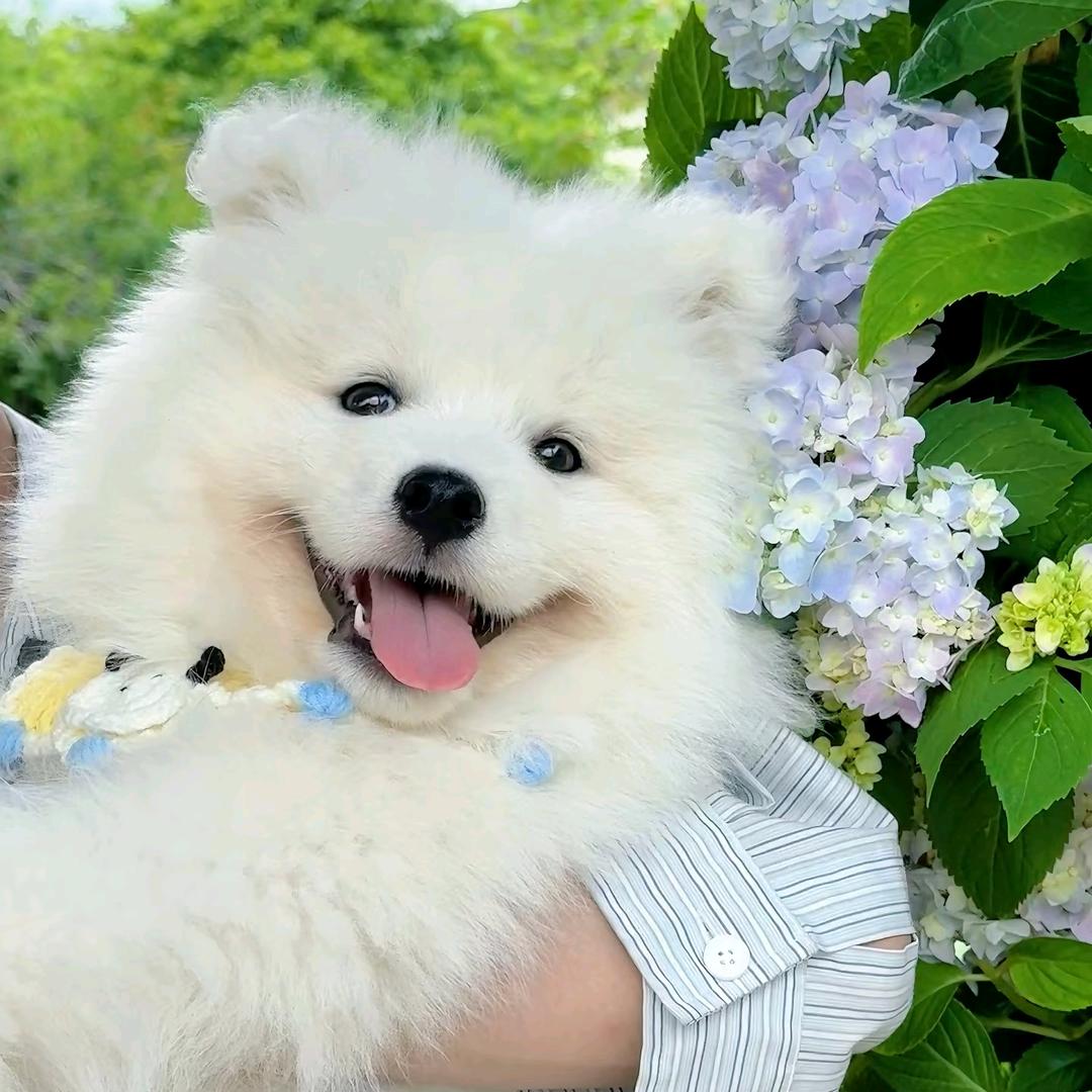 雪糕❄️🍦