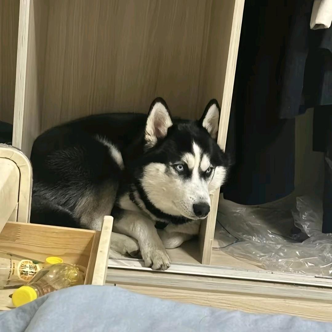 得得