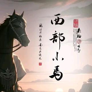 西部小马哥