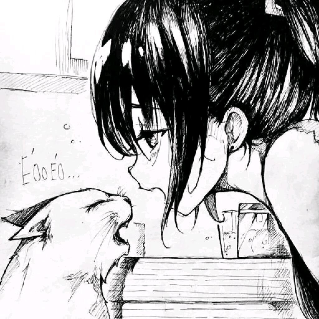 🐱Cyan😺