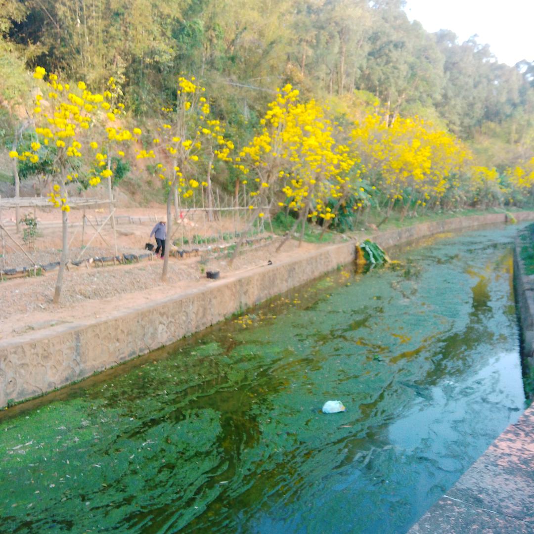 邓老根塑胶制品厂