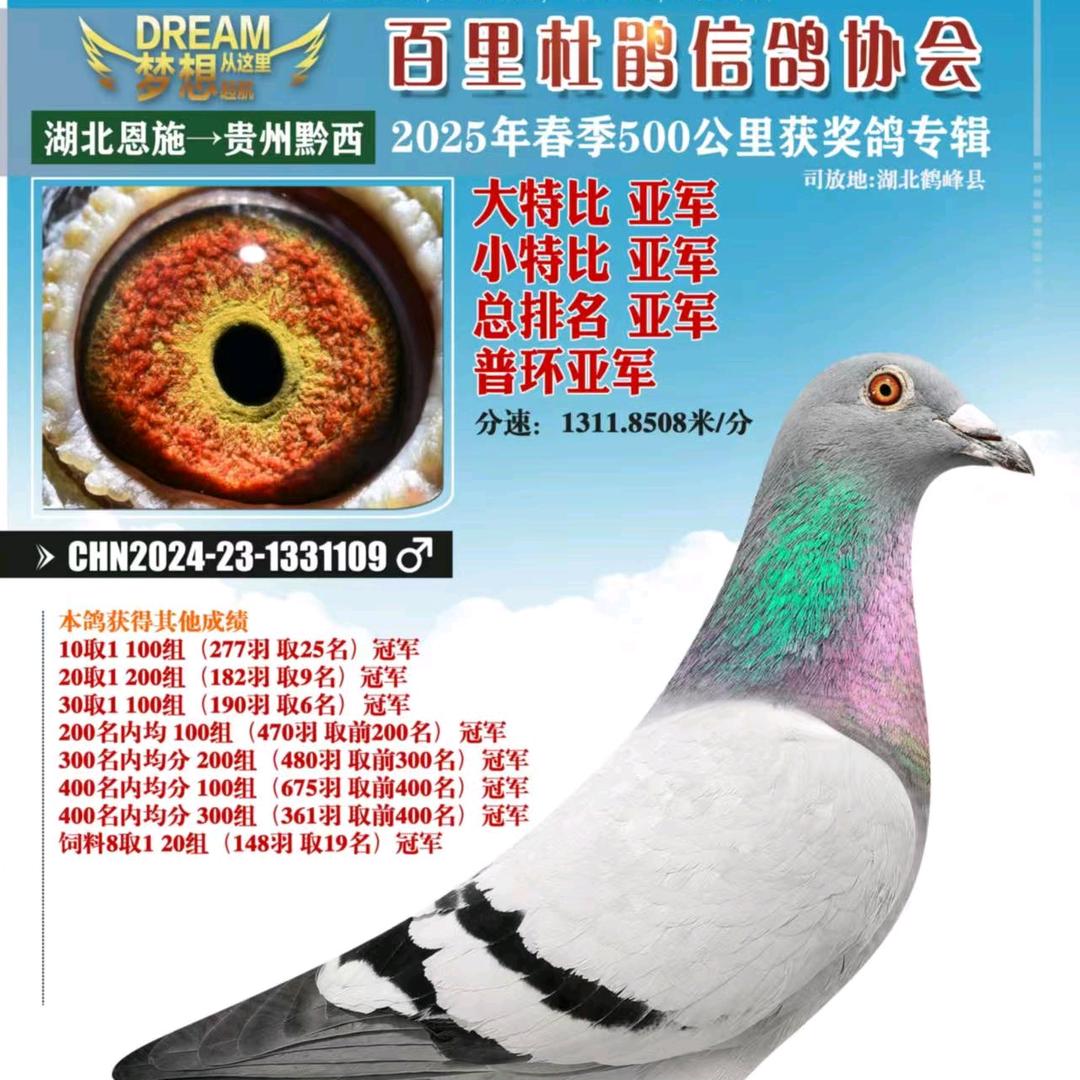 東鑫吴老五