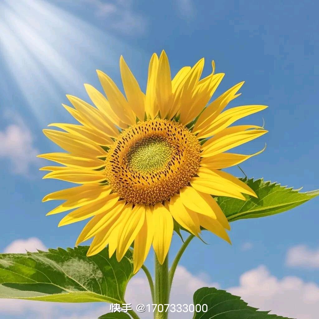 一个人好好爱自己