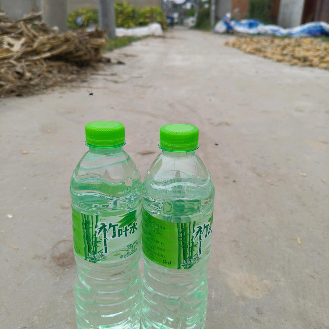 单身张哥