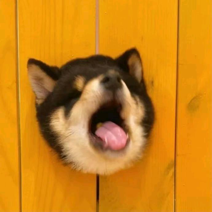北纬二七