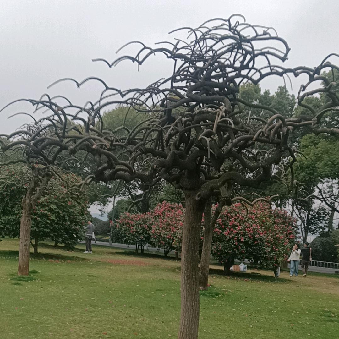 不想受到无情的伤