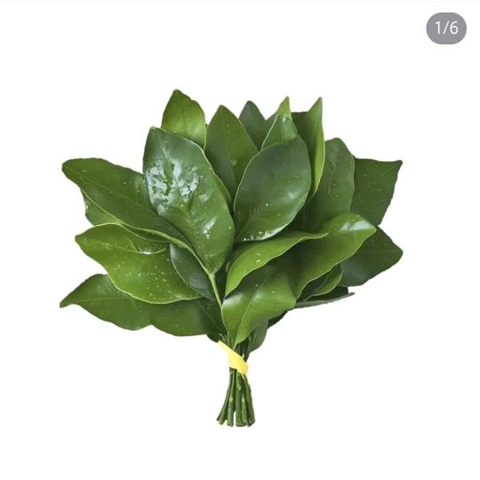 沉舒