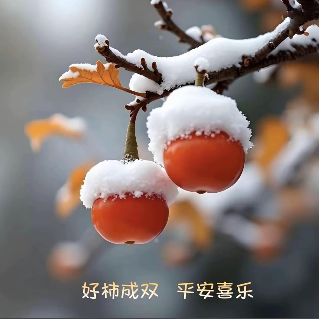 ꦿ࿐徐多福᭄ꦿ
