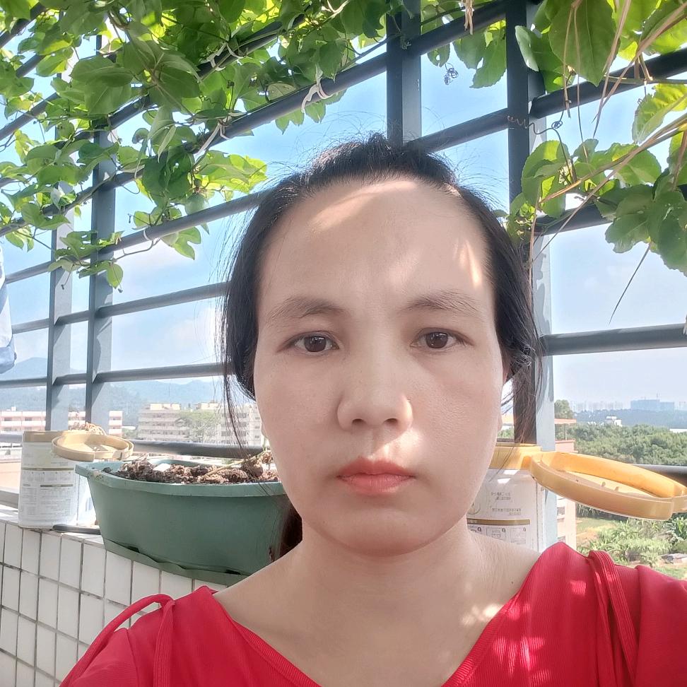 小兰子  下午2:40首播