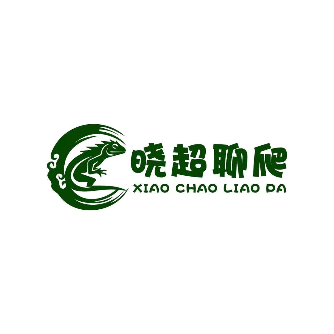 晓超爬宠头像