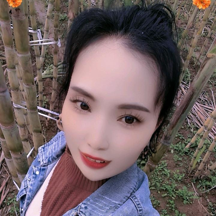 清晨的露珠