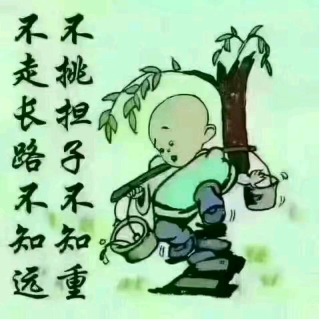 •᷄-•᷅