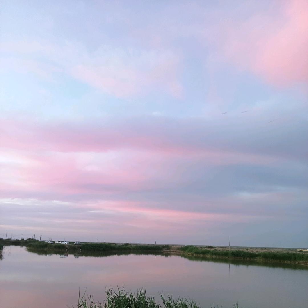 电动卷门，挡烟垂壁。