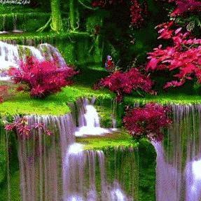 🌷家和万事兴🌄