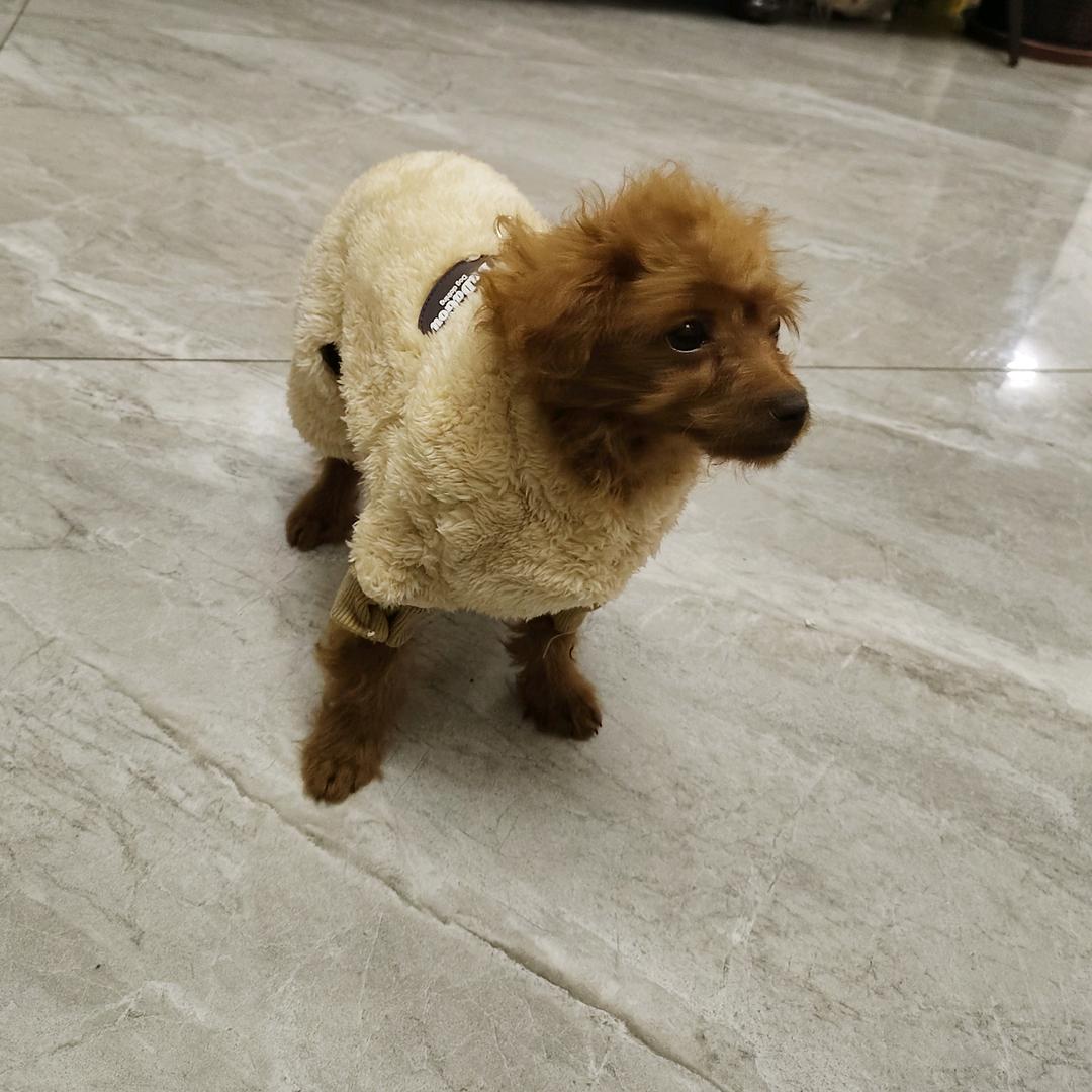 乐在其中
